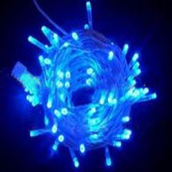 LED Holiday Light