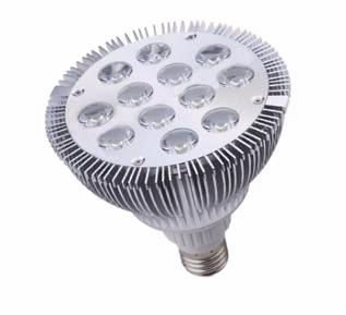 LED SpotLight PAR38 12W°