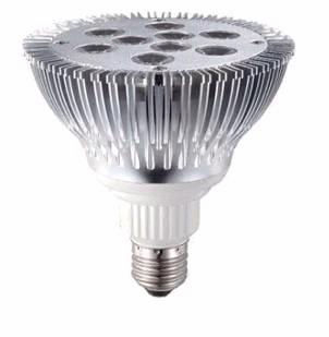 LED SpotLight PAR38 9W