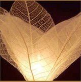 Bodhi Leaf Flower Wedding Party Lights