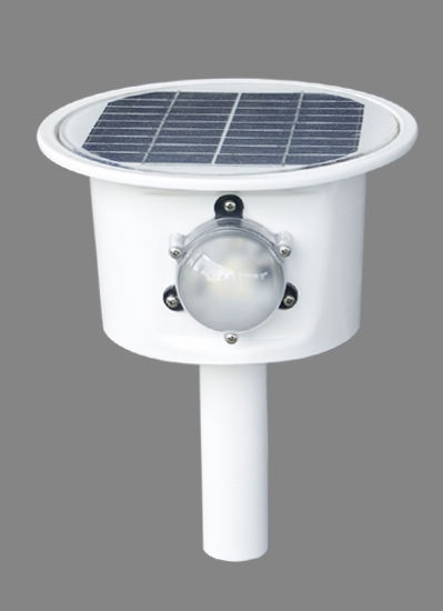 1W Silicon Solar LED Shining Lamp